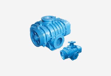 Body of Roots Pump Blower roots pump, blower, positive displacement pumps, pneumatic conveying, pneumatic transport, surpresseur a pistons rotatif, ruut pompa