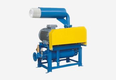 Stand Roots Pump Blower_2 roots pump, blower, positive displacement pumps, pneumatic conveying, pneumatic transport, surpresseur a pistons rotatif, ruut pompa